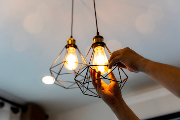 Best Affordable Electrician  in Channel Lake, IL
