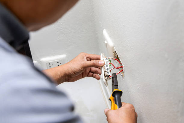 Best Residential Electrician Services  in Channel Lake, IL